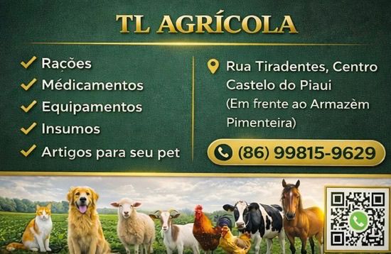 Em castelo do Piauí conte com a TL AGRÍCOLA pra economizar na hora de comprar ração e medicamentos veterinário. É QUALIDADE DE VERDADE pra aumentar sua produção e cuidar bem dos seus animais!!! Estamos localizados na rua Tiradentes centro de castelo do Piauí em frente ao armazém Pimenteira e ao lado da Farias credito. Organização: ir Léo e ir Taty (86)998159629 TL AGRICOLA SEU PARCEIRO FORTE NO CAMPO E NA CIDADE.